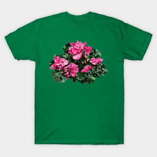 Magenta Geraniums T-Shirt